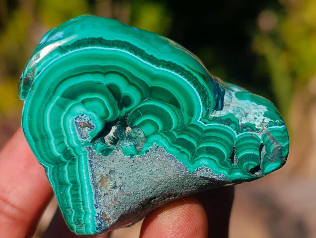 Polished Malacolla Free Forms x 12 From Kulukuluku, Congo - Toprock Gemstones and Minerals 