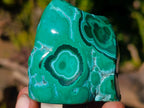 Polished Malacolla Free Forms x 12 From Kulukuluku, Congo - Toprock Gemstones and Minerals 