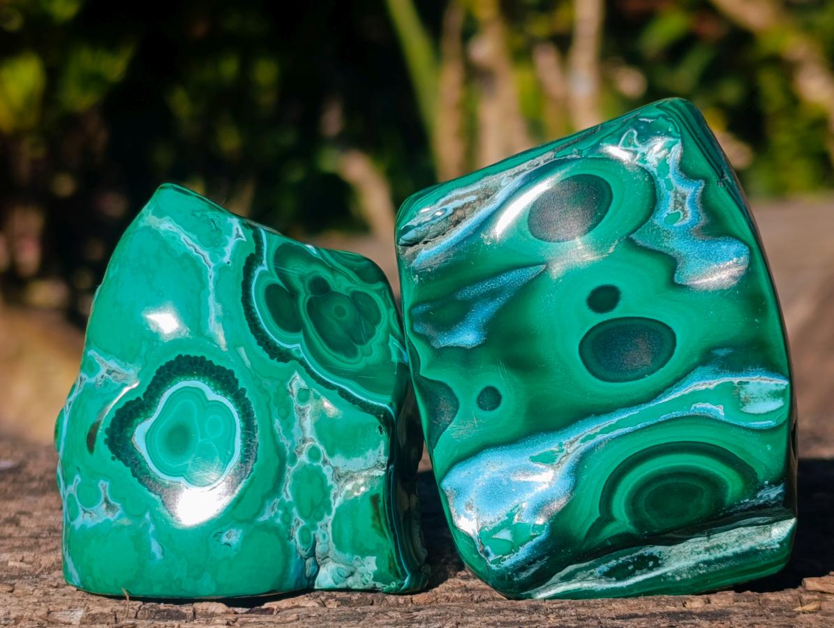 Polished Malacolla Free Forms x 12 From Kulukuluku, Congo - Toprock Gemstones and Minerals 