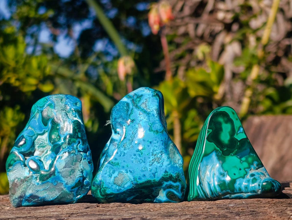 Polished Malacolla Free Forms x 12 From Kulukuluku, Congo - Toprock Gemstones and Minerals 