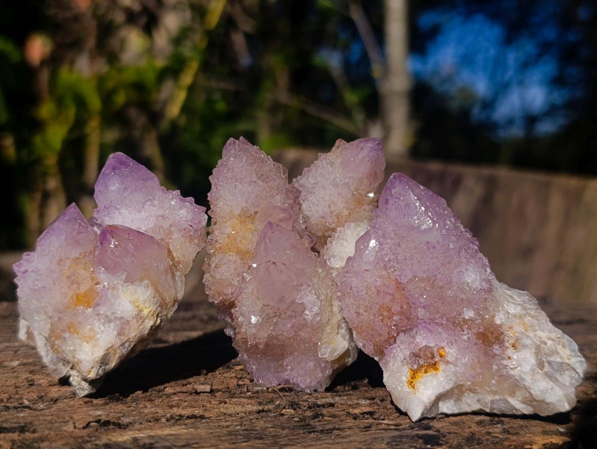 Natural Spirit Amethyst and Spirit Ametrine Clusters x 12 From Boekenhouthoek, South Africa - Toprock Gemstones and Minerals 