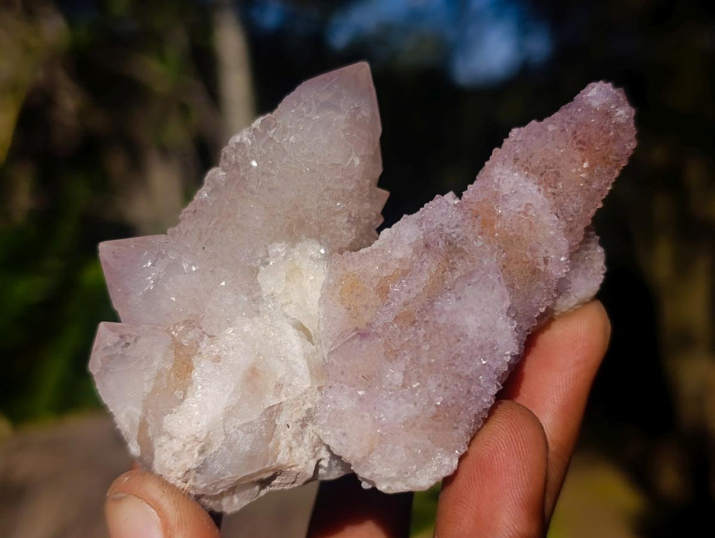 Natural Spirit Amethyst and Spirit Ametrine Clusters x 12 From Boekenhouthoek, South Africa - Toprock Gemstones and Minerals 
