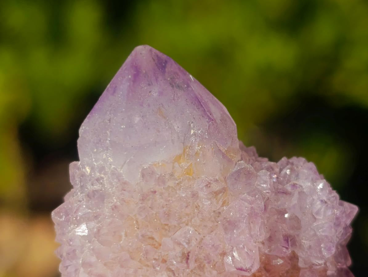 Natural Spirit Amethyst and Spirit Ametrine Clusters x 12 From Boekenhouthoek, South Africa - Toprock Gemstones and Minerals 