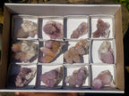 Natural Spirit Amethyst and Spirit Ametrine Clusters x 12 From Boekenhouthoek, South Africa - Toprock Gemstones and Minerals 