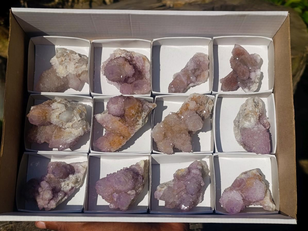 Natural Spirit Amethyst and Spirit Ametrine Clusters x 12 From Boekenhouthoek, South Africa - Toprock Gemstones and Minerals 