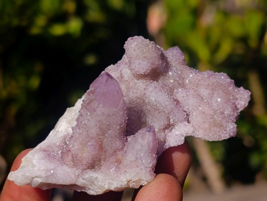 Natural Spirit Amethyst and Spirit Ametrine Clusters x 12 From Boekenhouthoek, South Africa - Toprock Gemstones and Minerals 