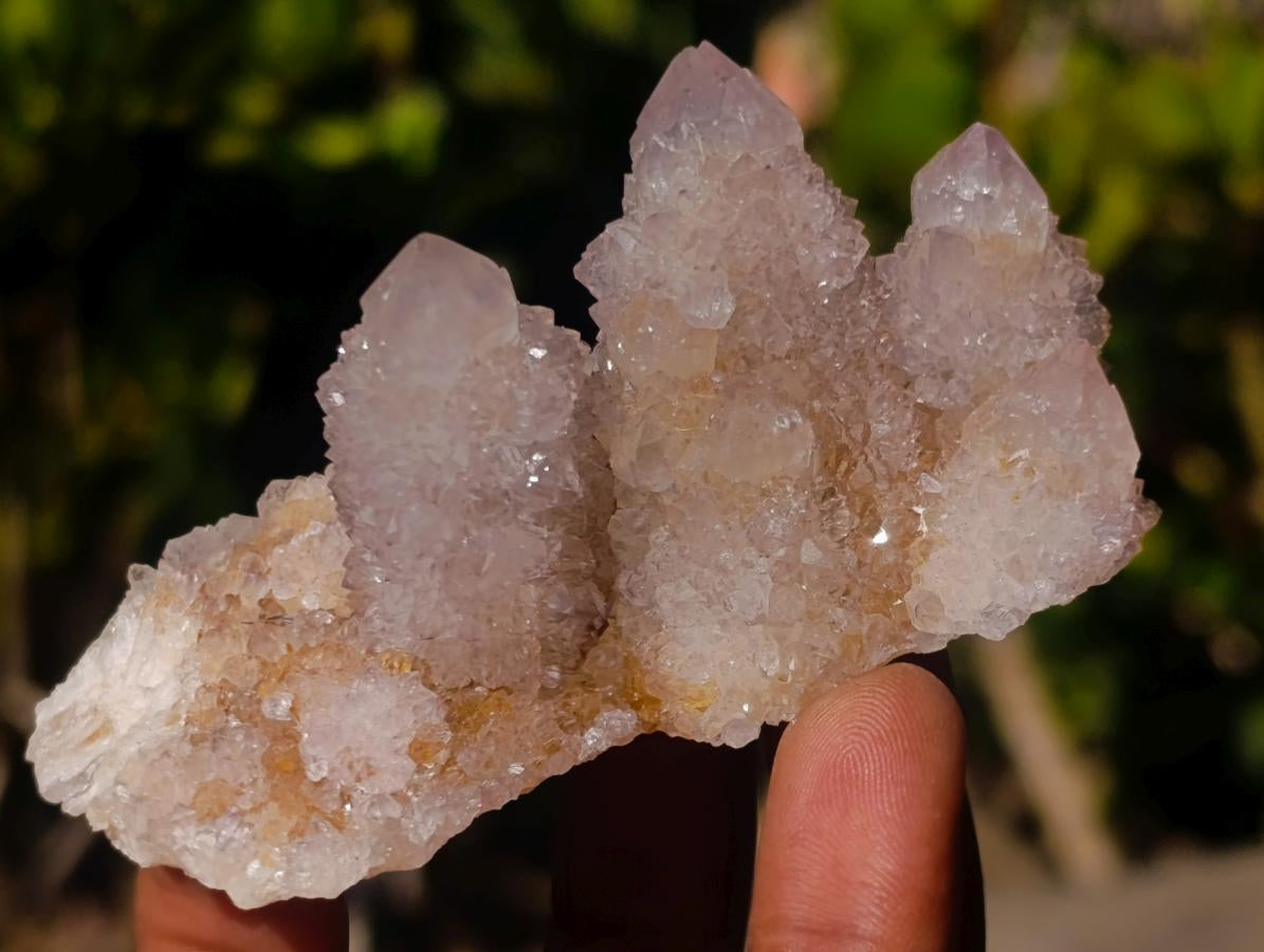 Natural Spirit Amethyst and Spirit Ametrine Clusters x 12 From Boekenhouthoek, South Africa - Toprock Gemstones and Minerals 