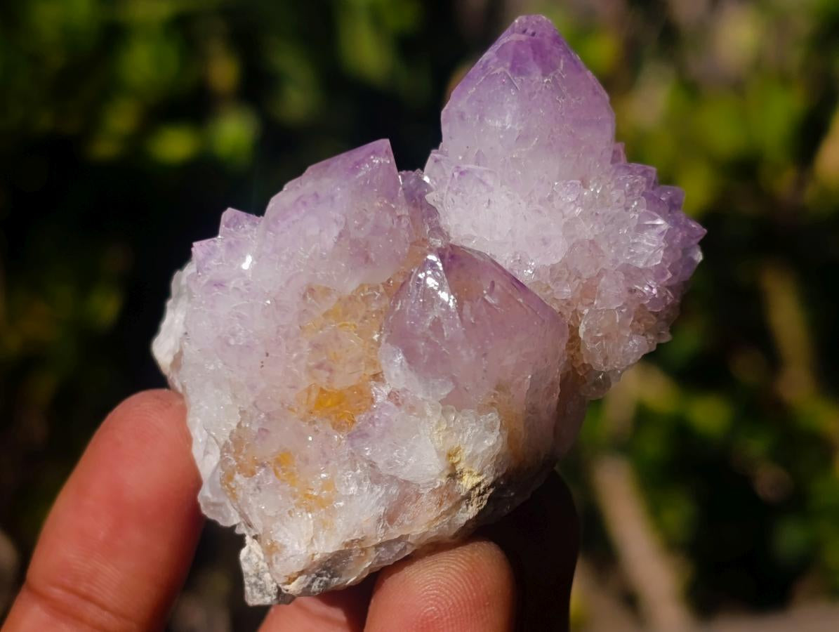 Natural Spirit Amethyst and Spirit Ametrine Clusters x 12 From Boekenhouthoek, South Africa - Toprock Gemstones and Minerals 