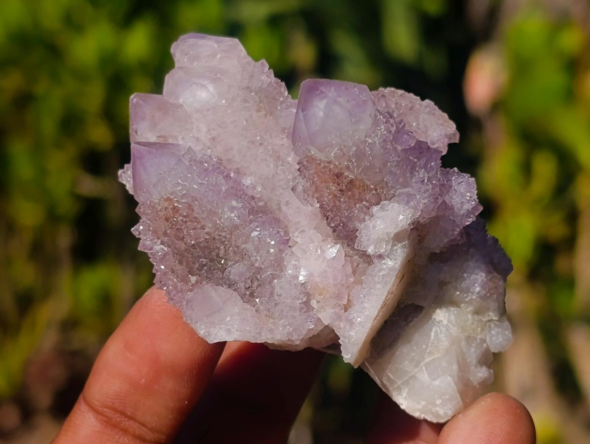 Natural Spirit Amethyst and Spirit Ametrine Clusters x 12 From Boekenhouthoek, South Africa - Toprock Gemstones and Minerals 