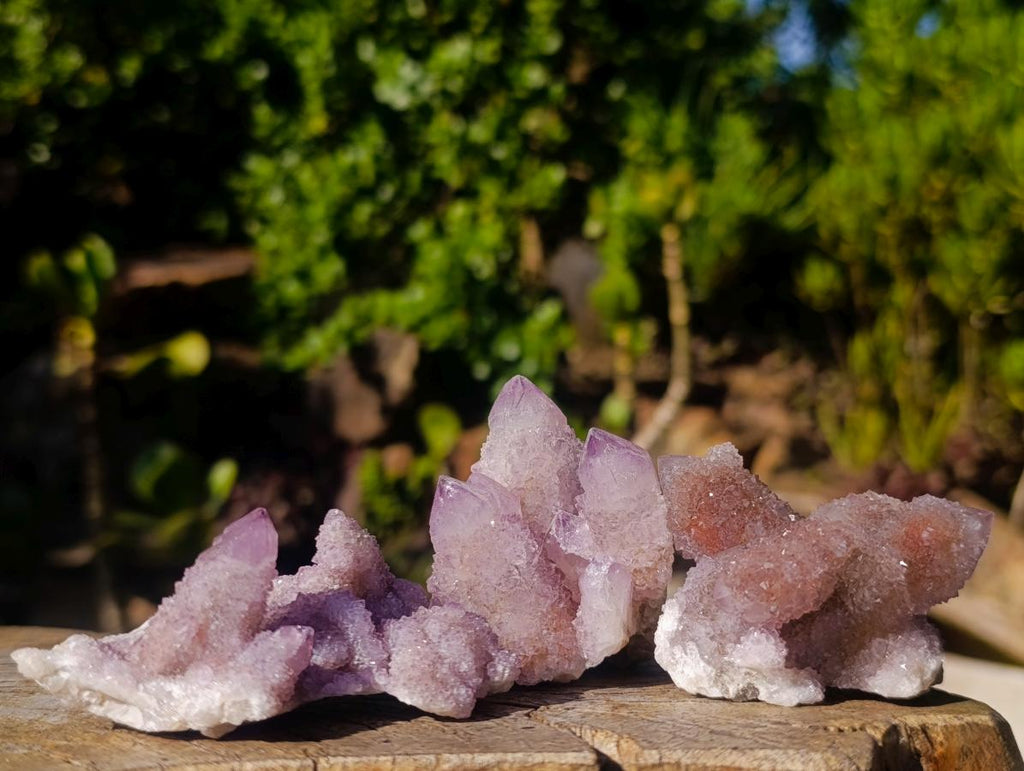 Natural Spirit Amethyst and Spirit Ametrine Clusters x 12 From Boekenhouthoek, South Africa - Toprock Gemstones and Minerals 