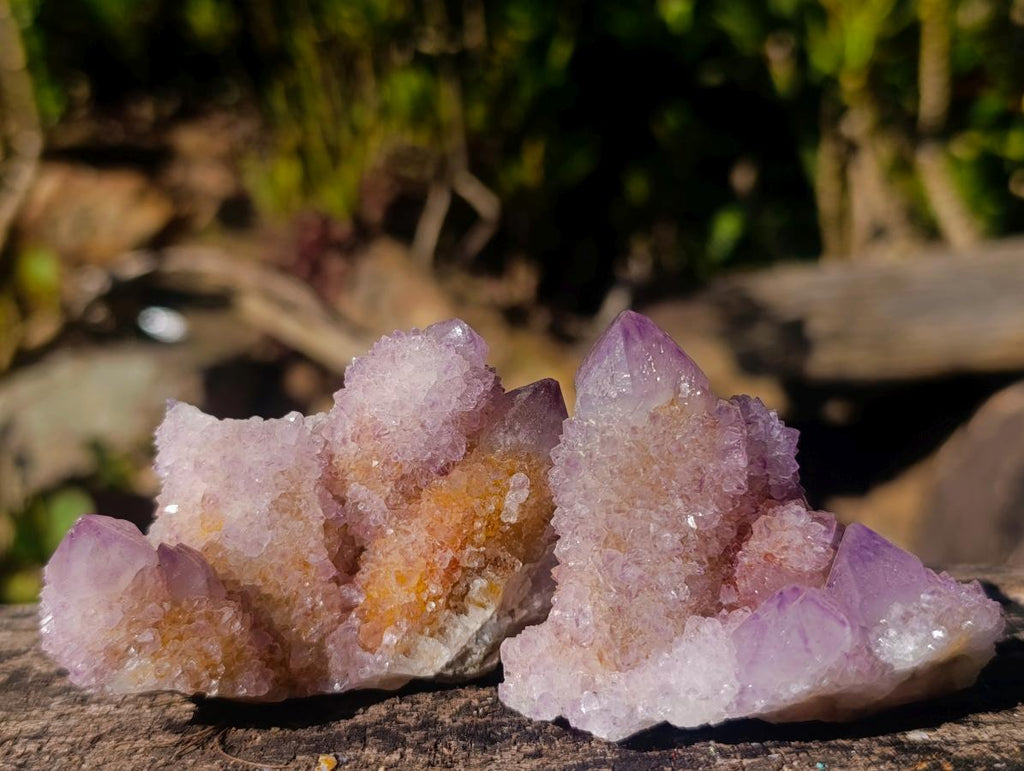 Natural Spirit Amethyst and Spirit Ametrine Clusters x 12 From Boekenhouthoek, South Africa - Toprock Gemstones and Minerals 