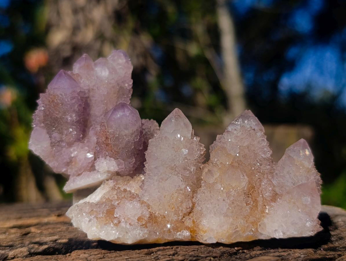 Natural Spirit Amethyst and Spirit Ametrine Clusters x 12 From Boekenhouthoek, South Africa - Toprock Gemstones and Minerals 