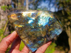 Polished Labradorite Standing Display Pieces x 2 From Madagascar - Toprock Gemstones and Minerals 
