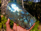 Polished Labradorite Standing Display Pieces x 2 From Madagascar - Toprock Gemstones and Minerals 