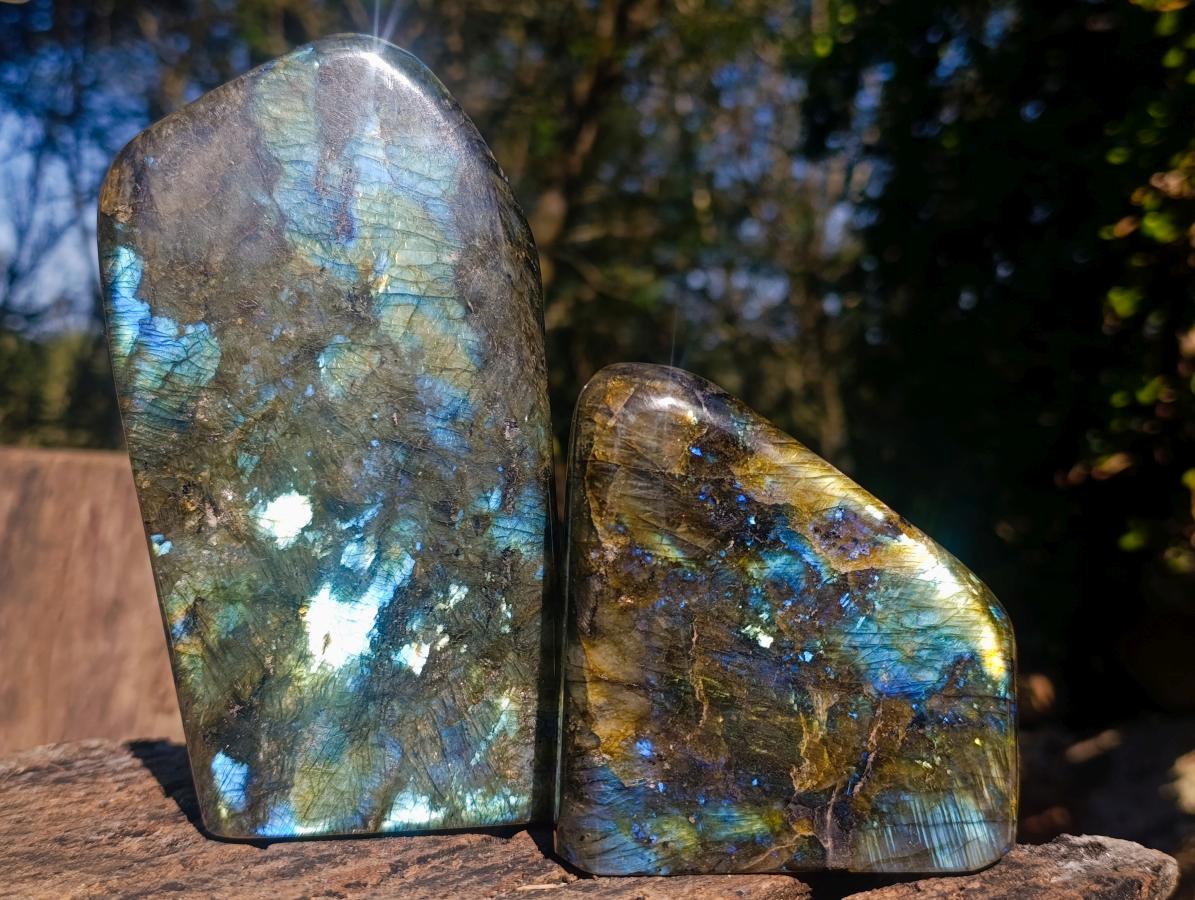 Polished Labradorite Standing Display Pieces x 2 From Madagascar - Toprock Gemstones and Minerals 