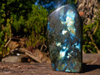 Polished Labradorite Standing Display Pieces x 2 From Madagascar - Toprock Gemstones and Minerals 