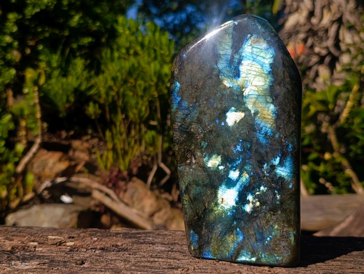 Polished Labradorite Standing Display Pieces x 2 From Madagascar - Toprock Gemstones and Minerals 