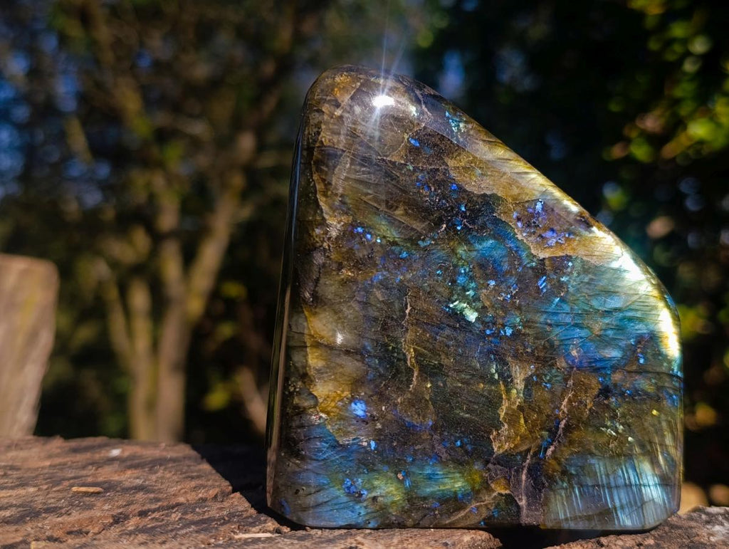 Polished Labradorite Standing Display Pieces x 2 From Madagascar - Toprock Gemstones and Minerals 