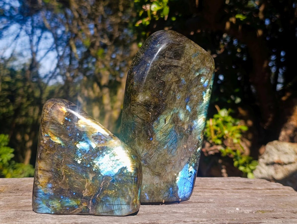 Polished Labradorite Standing Display Pieces x 2 From Madagascar - Toprock Gemstones and Minerals 
