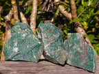 Natural Swazi Jade Cobbed Specimens x 12 From Swaziland - Toprock Gemstones and Minerals 