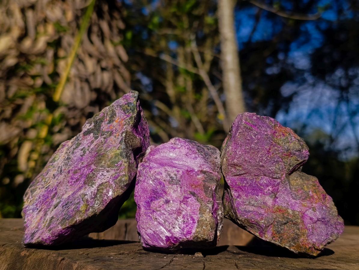 Natural Cobbed Stichtite Specimens x 12 From Barberton, South Africa - Toprock Gemstones and Minerals 