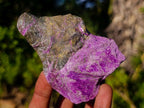 Natural Cobbed Stichtite Specimens x 12 From Barberton, South Africa - Toprock Gemstones and Minerals 