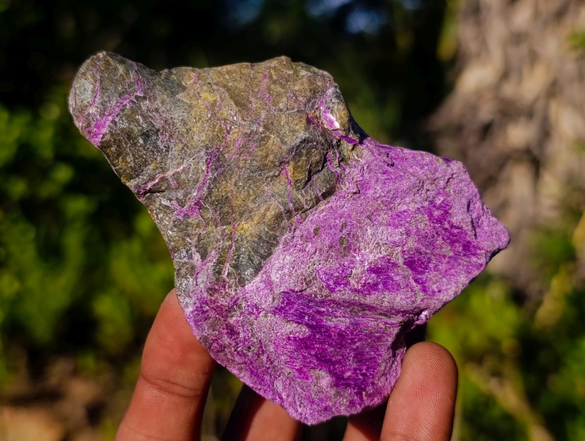 Natural Cobbed Stichtite Specimens x 12 From Barberton, South Africa - Toprock Gemstones and Minerals 