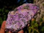 Natural Cobbed Stichtite Specimens x 12 From Barberton, South Africa - Toprock Gemstones and Minerals 