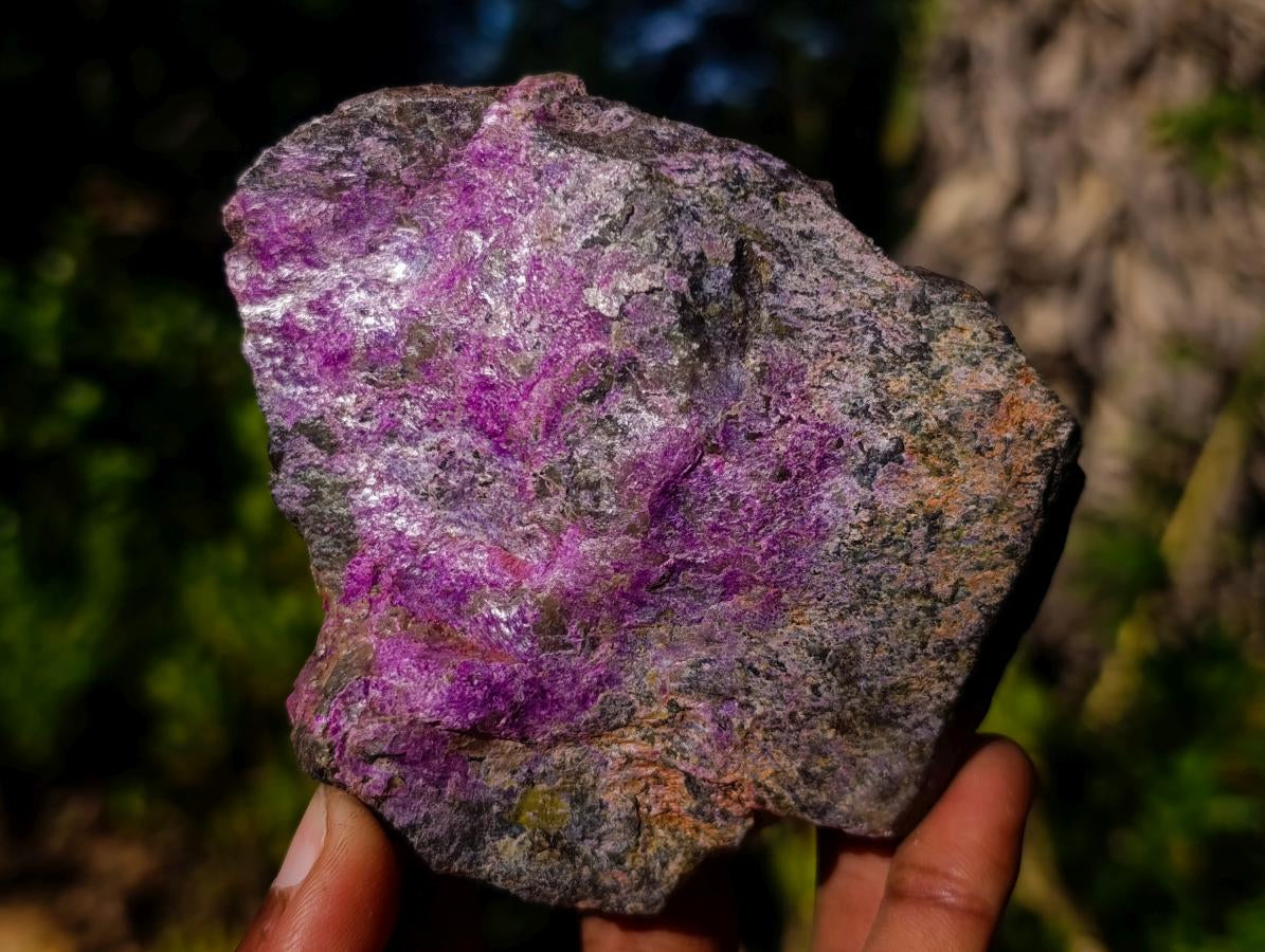 Natural Cobbed Stichtite Specimens x 12 From Barberton, South Africa - Toprock Gemstones and Minerals 