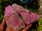 Natural Rhomboherdral Cobaltoan Calcite in Dolomite Specimens x 4 From Kakanda, Congo - Toprock Gemstones and Minerals 