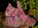 Natural Rhomboherdral Cobaltoan Calcite in Dolomite Specimens x 4 From Kakanda, Congo - Toprock Gemstones and Minerals 