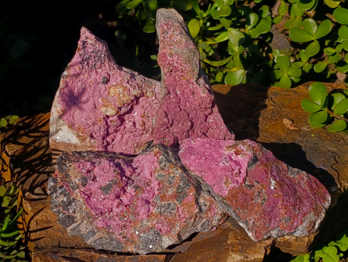 Natural Rhomboherdral Cobaltoan Calcite in Dolomite Specimens x 4 From Kakanda, Congo - Toprock Gemstones and Minerals 