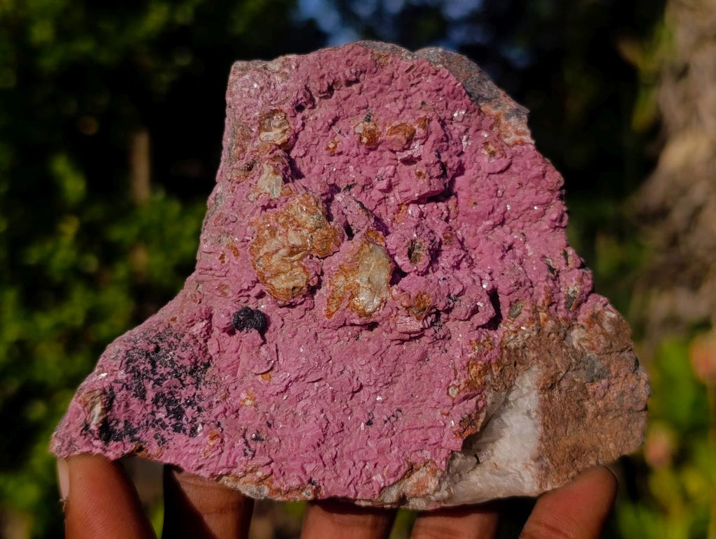 Natural Rhomboherdral Cobaltoan Calcite in Dolomite Specimens x 4 From Kakanda, Congo - Toprock Gemstones and Minerals 