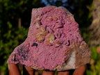 Natural Rhomboherdral Cobaltoan Calcite in Dolomite Specimens x 4 From Kakanda, Congo - Toprock Gemstones and Minerals 