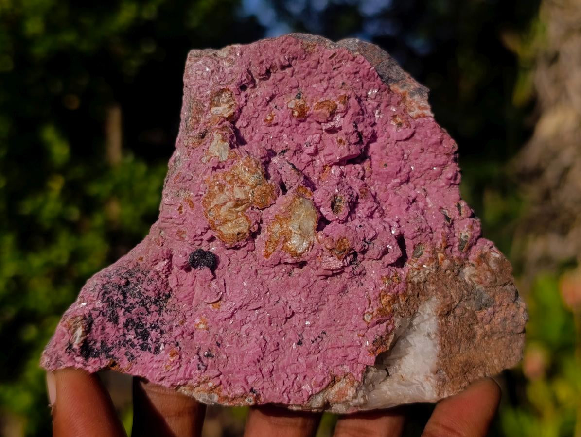 Natural Rhomboherdral Cobaltoan Calcite in Dolomite Specimens x 4 From Kakanda, Congo - Toprock Gemstones and Minerals 