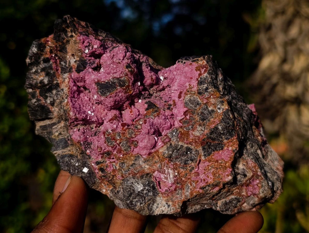 Natural Rhomboherdral Cobaltoan Calcite in Dolomite Specimens x 4 From Kakanda, Congo - Toprock Gemstones and Minerals 