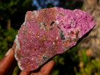 Natural Rhomboherdral Cobaltoan Calcite in Dolomite Specimens x 4 From Kakanda, Congo - Toprock Gemstones and Minerals 