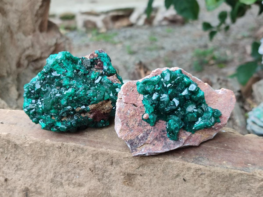 Natural Cabinet Dioptase on Dolomite Specimens x 3 From Likasi, Congo - Toprock Gemstones and Minerals 