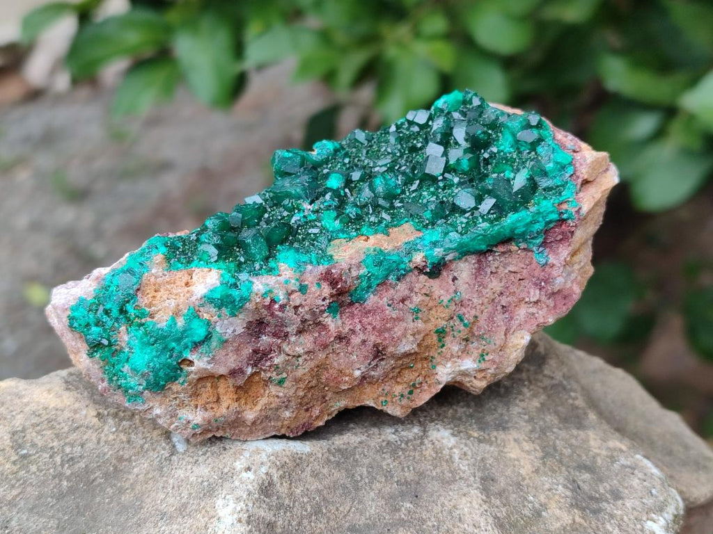 Natural Cabinet Dioptase on Dolomite Specimens x 3 From Likasi, Congo - Toprock Gemstones and Minerals 