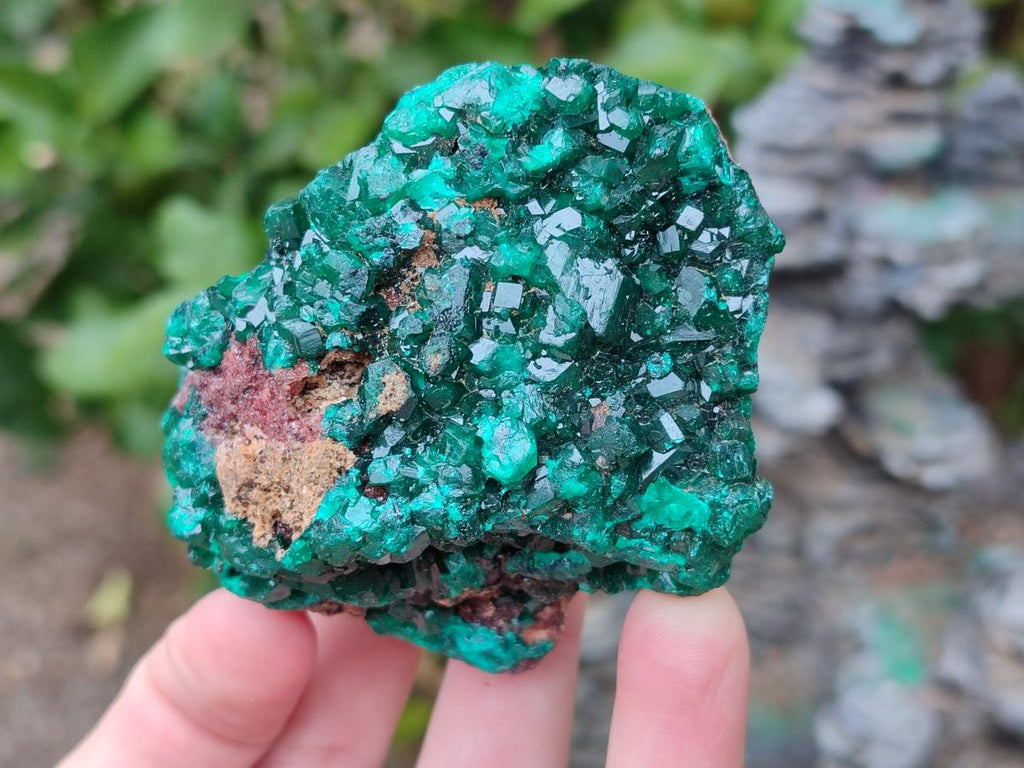 Natural Cabinet Dioptase on Dolomite Specimens x 3 From Likasi, Congo - Toprock Gemstones and Minerals 