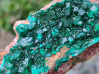 Natural Cabinet Dioptase on Dolomite Specimens x 3 From Likasi, Congo - Toprock Gemstones and Minerals 