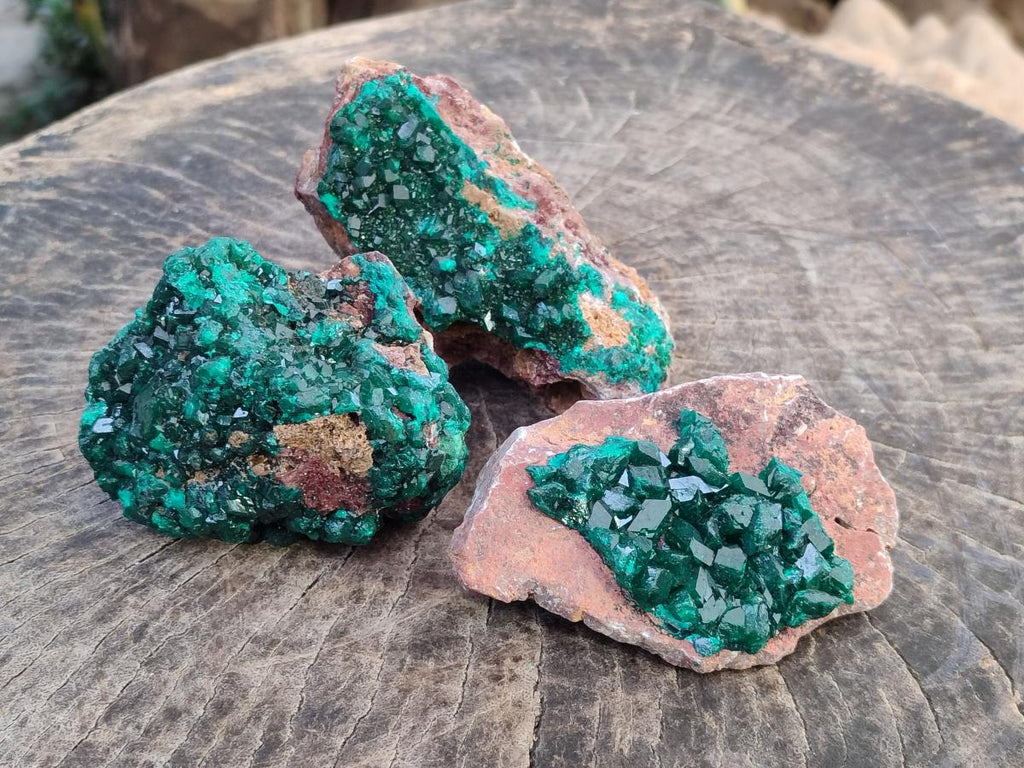 Natural Cabinet Dioptase on Dolomite Specimens x 3 From Likasi, Congo - Toprock Gemstones and Minerals 