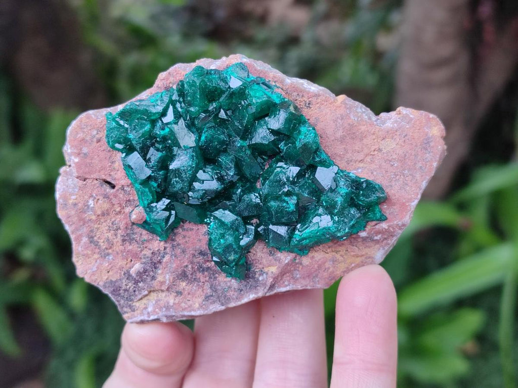 Natural Cabinet Dioptase on Dolomite Specimens x 3 From Likasi, Congo - Toprock Gemstones and Minerals 