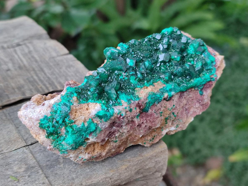 Natural Cabinet Dioptase on Dolomite Specimens x 3 From Likasi, Congo - Toprock Gemstones and Minerals 