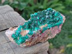 Natural Cabinet Dioptase on Dolomite Specimens x 3 From Likasi, Congo - Toprock Gemstones and Minerals 
