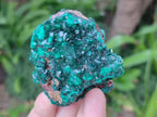 Natural Cabinet Dioptase on Dolomite Specimens x 3 From Likasi, Congo - Toprock Gemstones and Minerals 