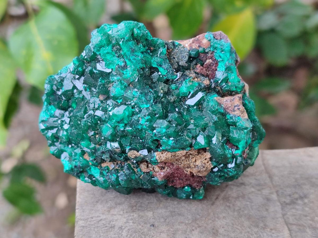 Natural Cabinet Dioptase on Dolomite Specimens x 3 From Likasi, Congo - Toprock Gemstones and Minerals 