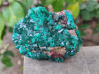 Natural Cabinet Dioptase on Dolomite Specimens x 3 From Likasi, Congo - Toprock Gemstones and Minerals 