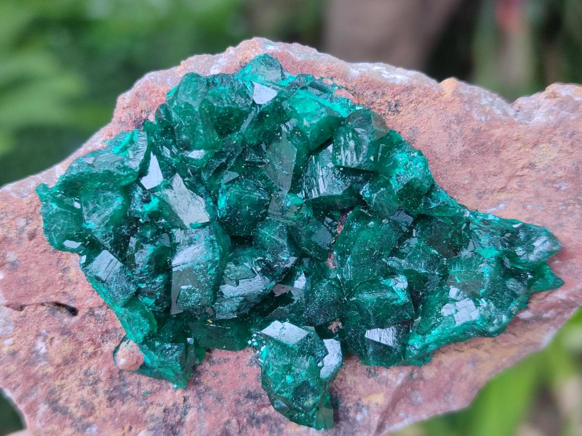 Natural Cabinet Dioptase on Dolomite Specimens x 3 From Likasi, Congo - Toprock Gemstones and Minerals 