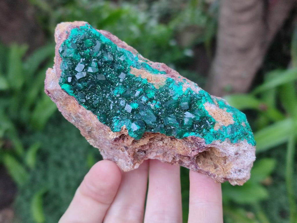 Natural Cabinet Dioptase on Dolomite Specimens x 3 From Likasi, Congo - Toprock Gemstones and Minerals 